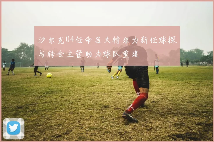 沙尔克04任命吕夫特尔为新任球探与转会主管助力球队重建
